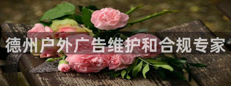 杏宇平台登陆