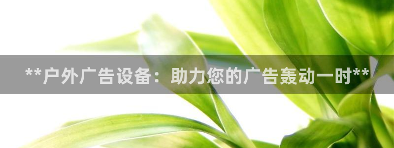 杏宇平台招商