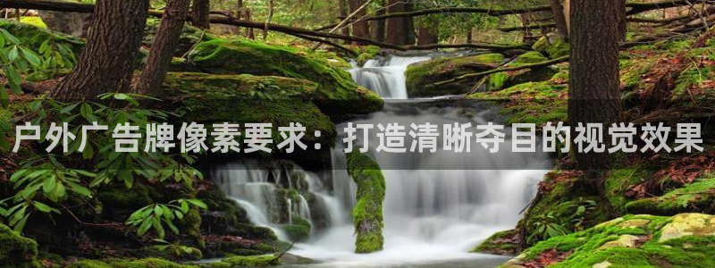 杏宇平台登陆