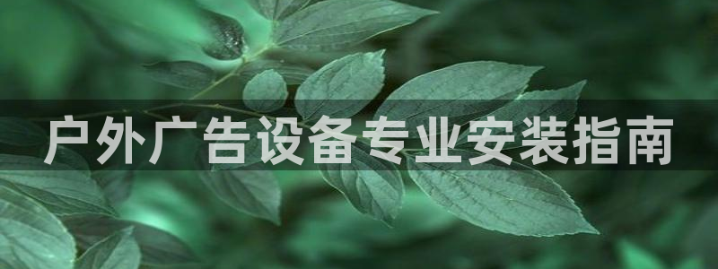 杏宇平台开户