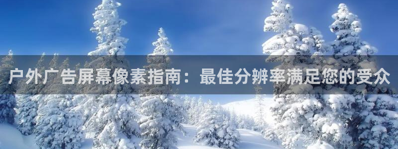 杏宇平台代理怎么样