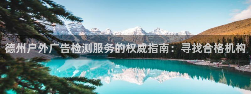 杏宇平台登录步骤图