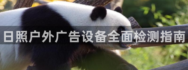 杏宇平台代理怎么样可靠吗