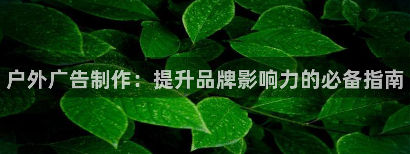 杏宇平台开户