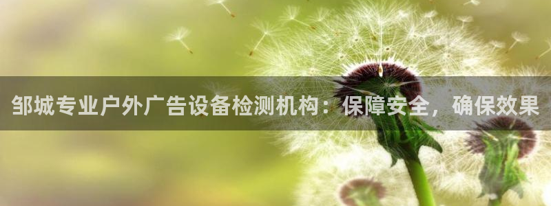 杏宇平台怎么样知乎：邹城专业户外广告设备检测机构：保障安全，确保效果