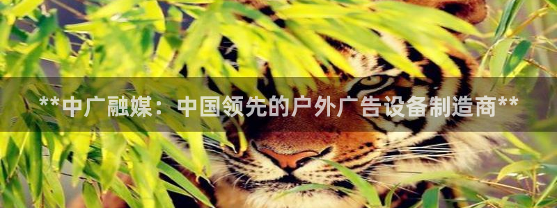 杏宇平台招商怎么样：**中广融媒：中国领先的户外广告设备制造商**