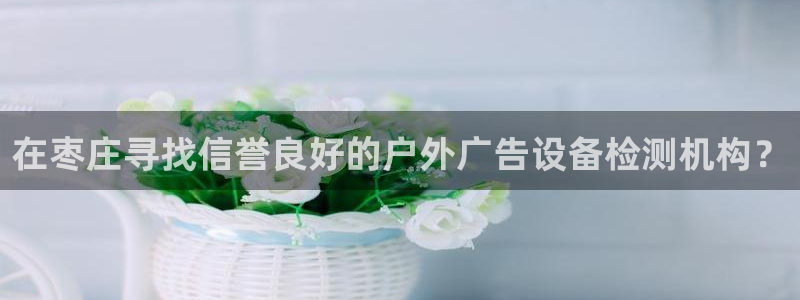 杏宇平台代理多少钱：在枣庄寻找信誉良好的户外广告设备检测机构？