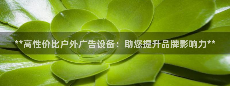 杏宇平台登录步骤：**高性价比户外广告设备：助您提升品牌影响力**