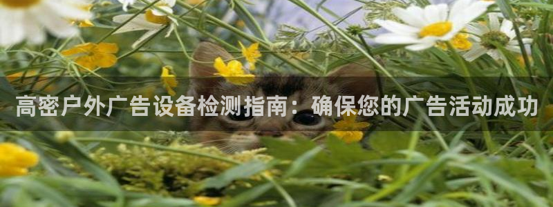 杏宇平台怎么样：高密户外广告设备检测指南：确保您的广告活动成功