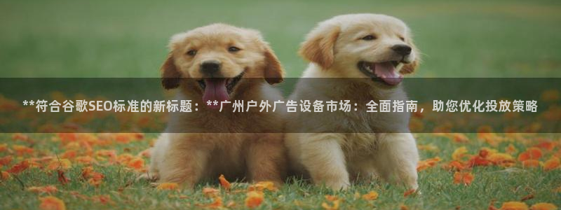 杏宇平台代理多少钱一个月：**符合谷歌SEO标准的新标题：**广州户外广告设备市场：全面指南，助您优化投放策略