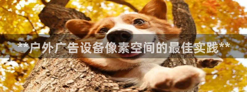 杏宇平台招商怎么样：**户外广告设备像素空间的最佳实践**