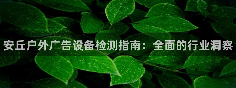 杏宇平台注册地址：安丘户外广告设备检测指南：全面的行业洞察