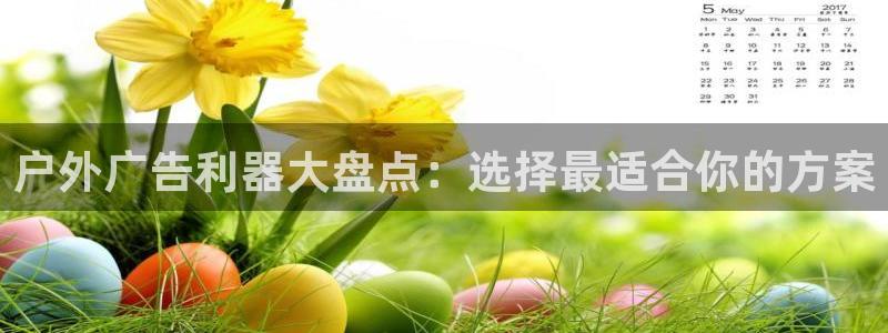 杏宇平台总代理是谁