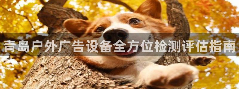 杏宇平台招商电话号码