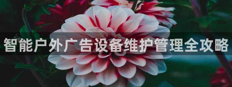 杏宇平台注册地址在哪里