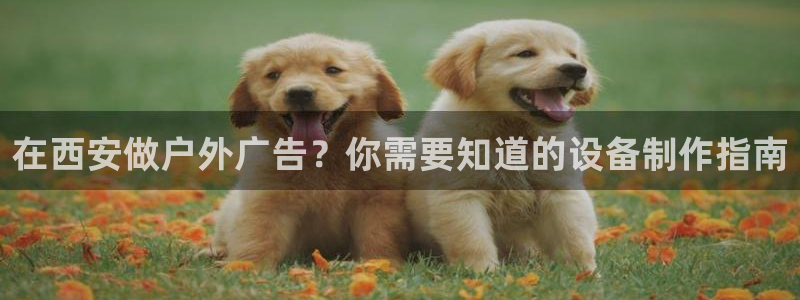 杏宇平台官网注册