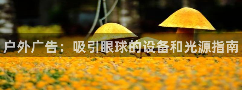 杏宇平台招商怎么样