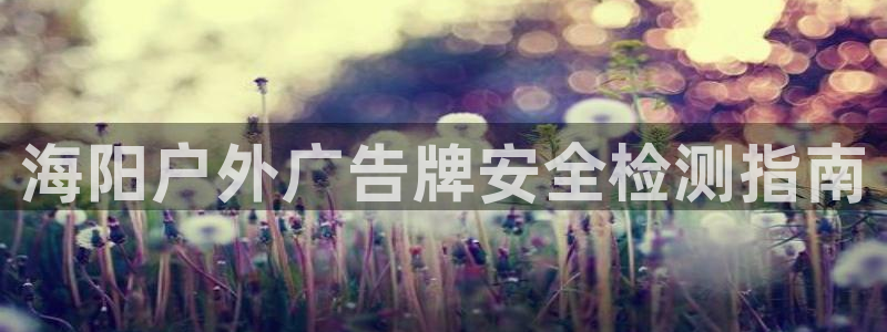杏宇平台代理怎么赚钱的