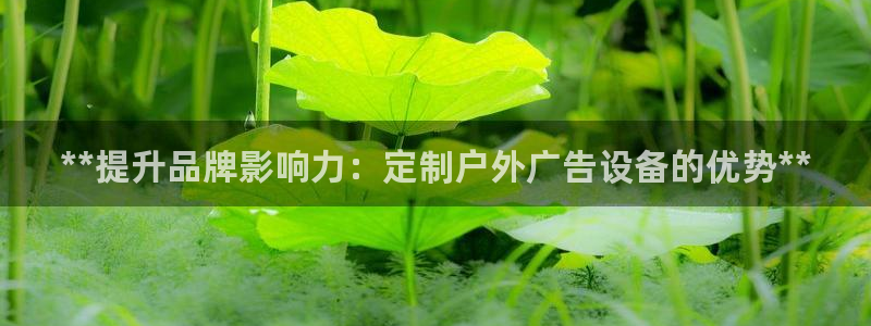 杏宇平台是什么
