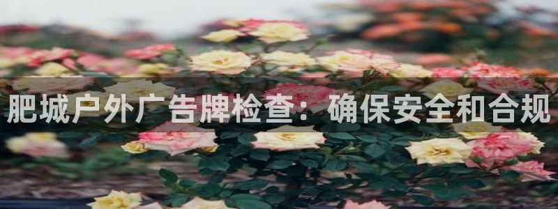 杏宇平台怎么样知乎：肥城户外广告牌检查：确保安全和合规