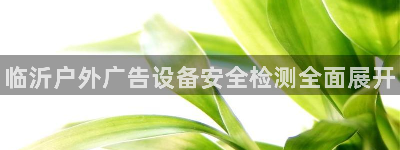 杏宇代理注册