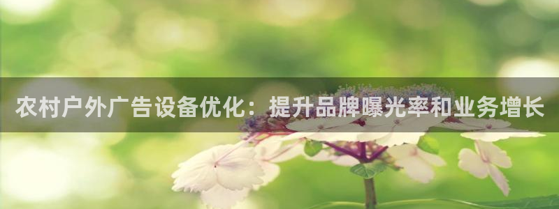 杏宇平台主管：农村户外广告设备优化：提升品牌曝光率和业务增长