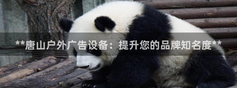 杏宇平台代理怎么样可靠吗：**唐山户外广告设备：提升您的品牌知名度**