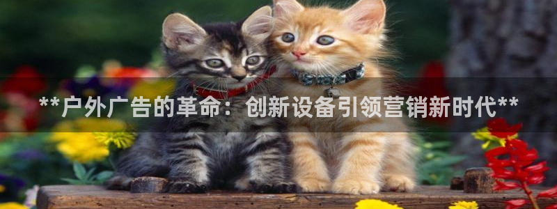 杏宇平台招商