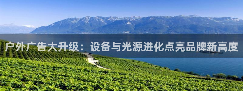 杏宇官方平台官网下载