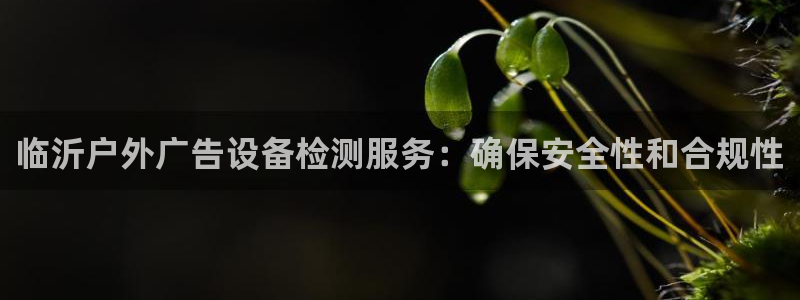 杏宇平台提现为什么这么久呢
