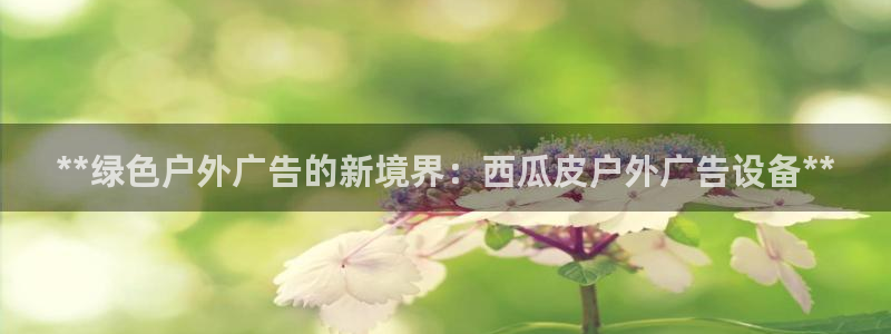 杏宇代理注册