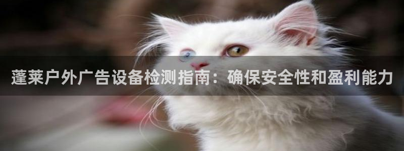 杏宇平台代理：蓬莱户外广告设备检测指南：确保安全性和盈利能力