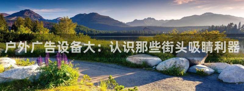 杏宇平台是什么