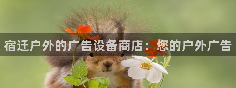 杏宇平台代理多少钱一次：宿迁户外的广告设备商店：您的户外广告