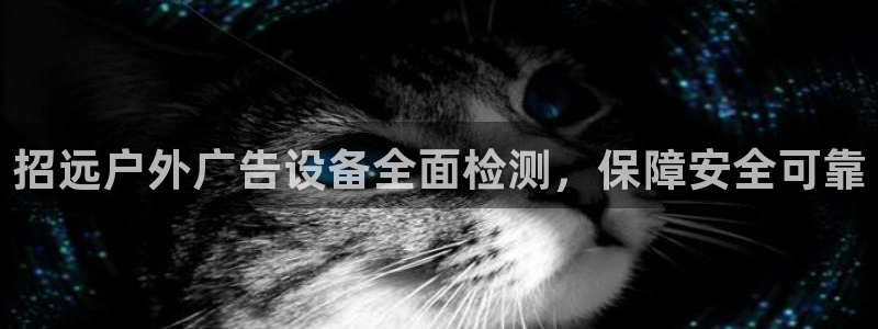 杏宇官方平台官网入口