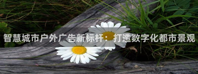 杏宇平台总代理