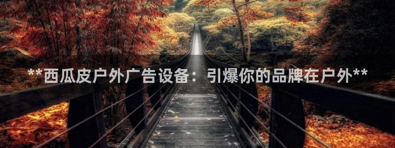 杏宇平台总代理