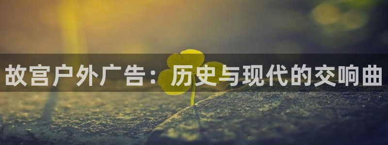 杏宇代理注册