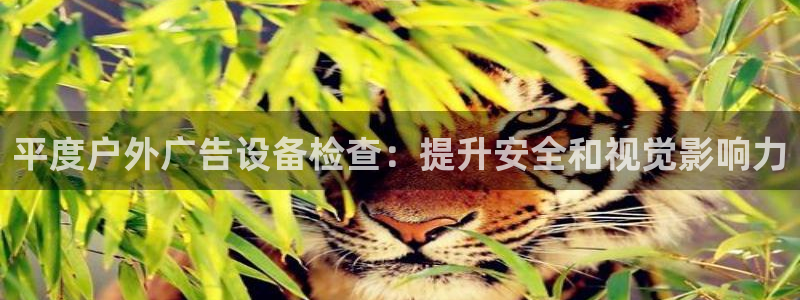 杏宇平台提现为什么这么久呢：平度户外广告设备检查：提升安全和视觉影响力