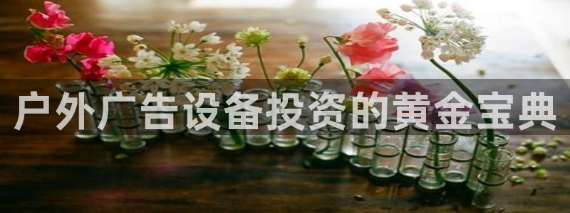 杏宇平台代理多少钱一个月