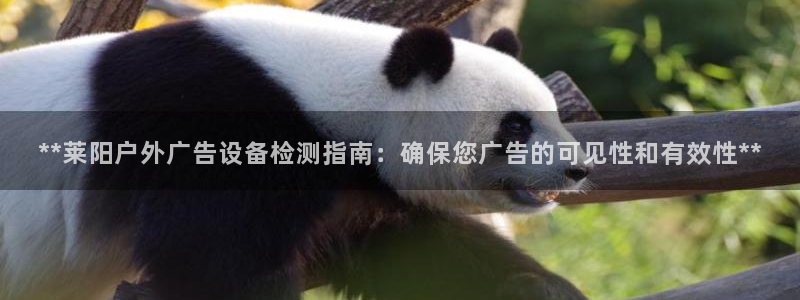 杏宇平台登录步骤是什么：**莱阳户外广告设备检测指南：确保您广告的可见性和有效性**