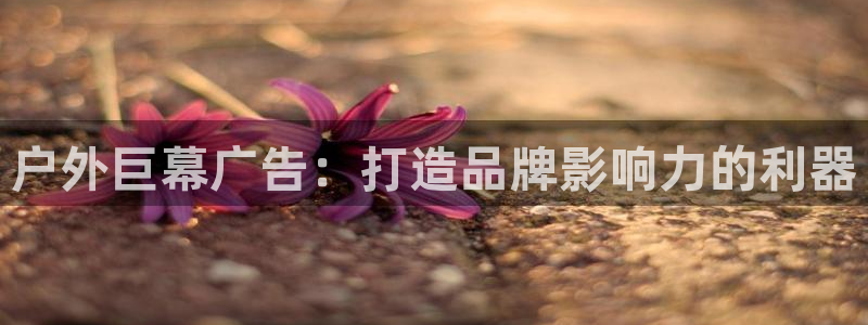 杏宇平台代理多少钱一个月