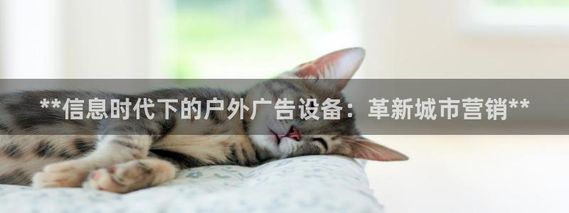 杏宇平台代理怎么样：**信息时代下的户外广告设备：革新城市营销**