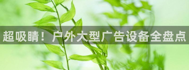 杏宇平台代理