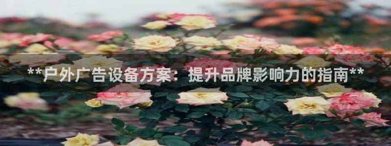 杏宇平台是什么