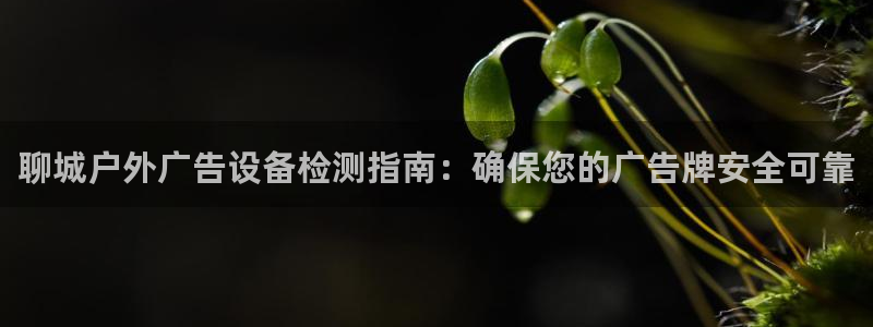 杏宇平台登录步骤图：聊城户外广告设备检测指南：确保您的广告牌安全可靠