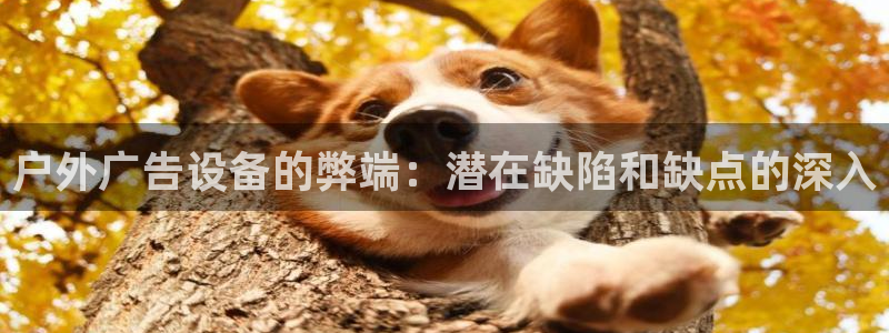 杏宇平台招商电话号码：户外广告设备的弊端：潜在缺陷和缺点的深入