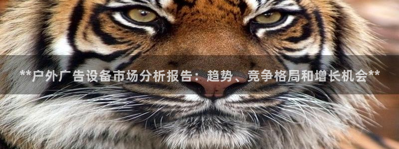 杏宇平台代理怎么样可靠吗：**户外广告设备市场分析报告：趋势、竞争格局和增长机会**