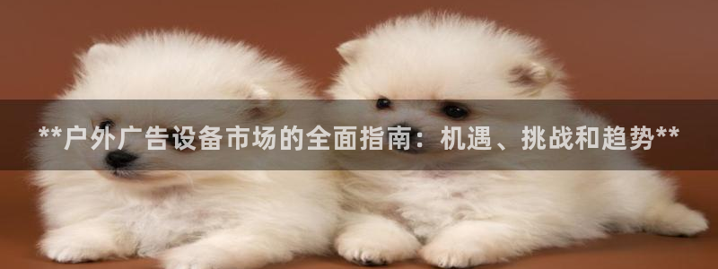 杏宇平台招商：**户外广告设备市场的全面指南：机遇、挑战和趋势**
