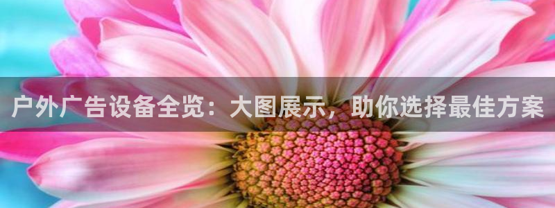 杏宇平台登陆